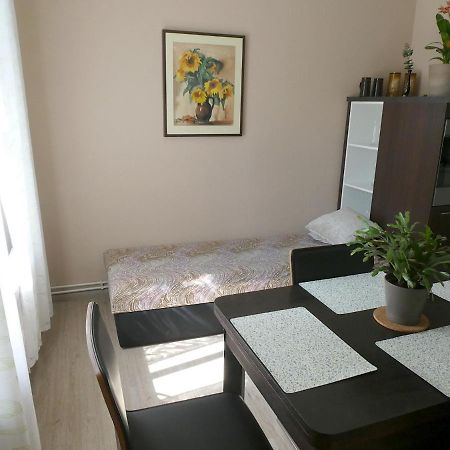 Apartman Marenka Нове Место на Мораве Екстериор снимка