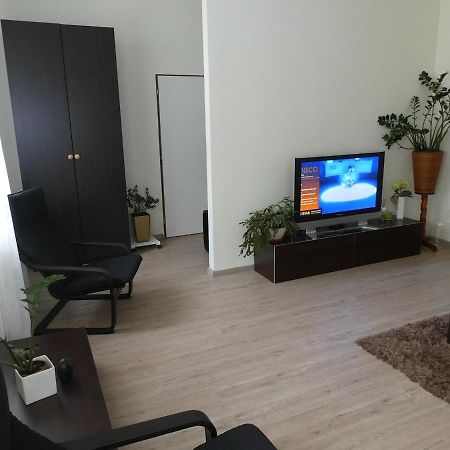 Apartman Marenka Нове Место на Мораве Екстериор снимка
