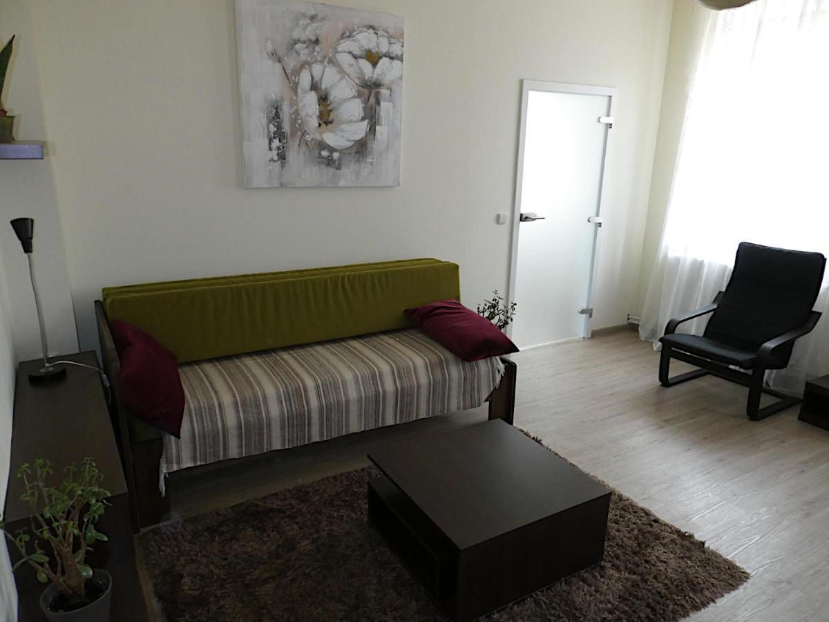 Apartman Marenka Нове Место на Мораве Екстериор снимка