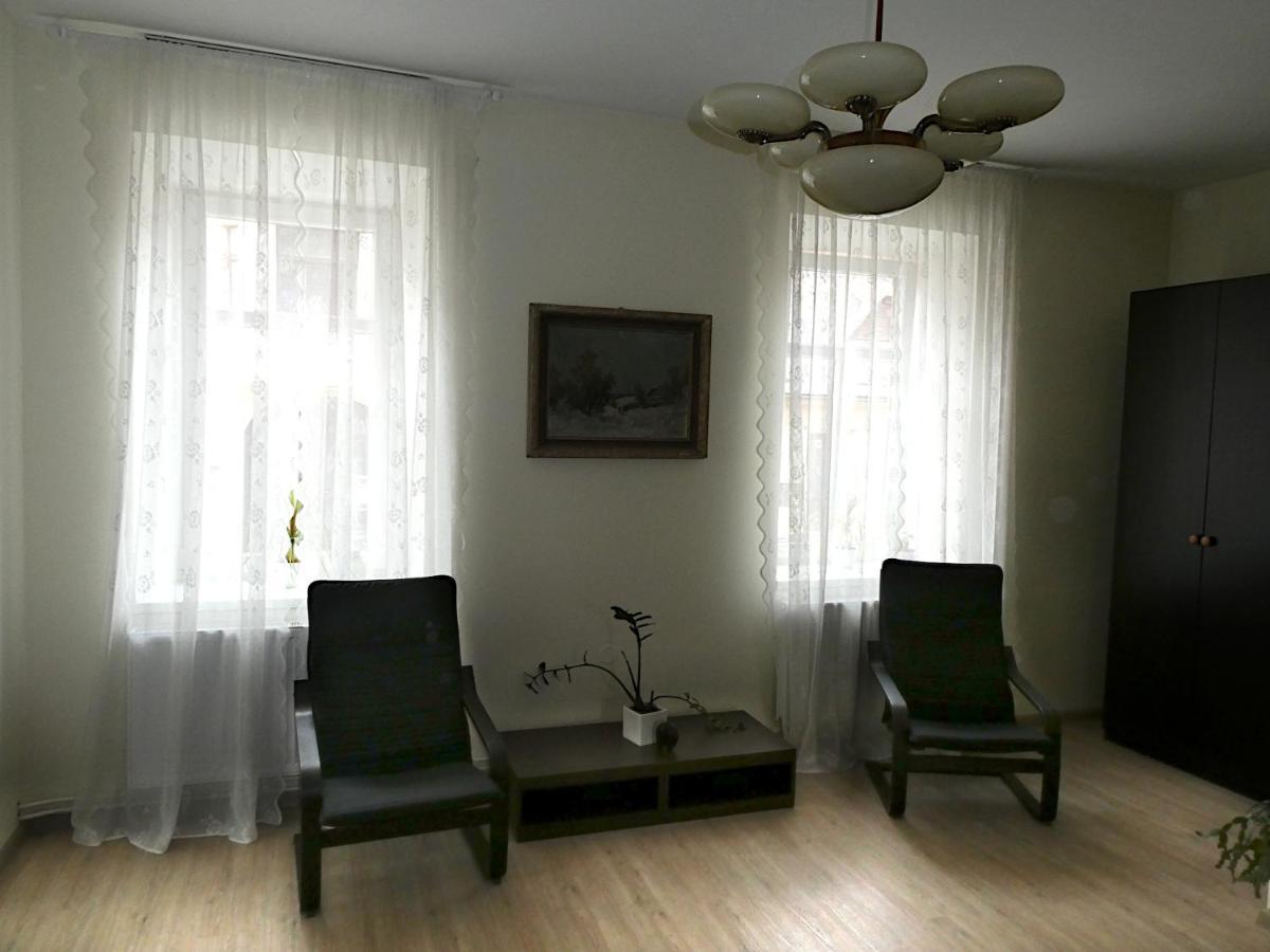 Apartman Marenka Нове Место на Мораве Екстериор снимка